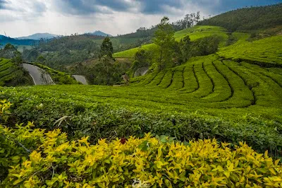 Check out Photo Point, Munnar