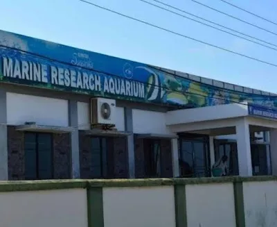 Explore Sagarika Marine Research Aquarium, Kovalam