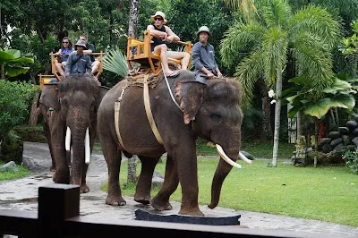 Explore Bali Zoo, Ubud