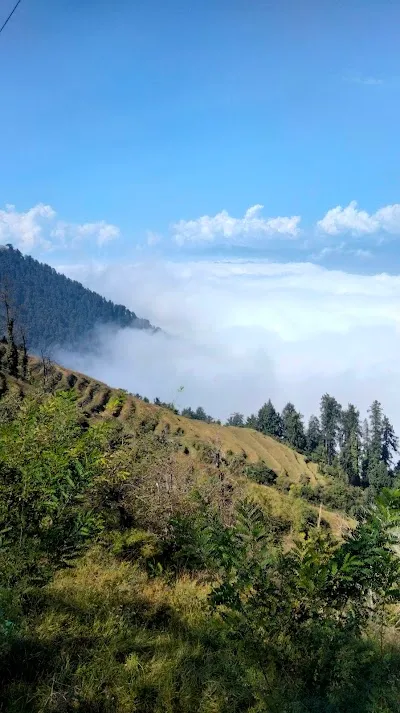 Check out Bakrota Hills view Point, Dalhousie