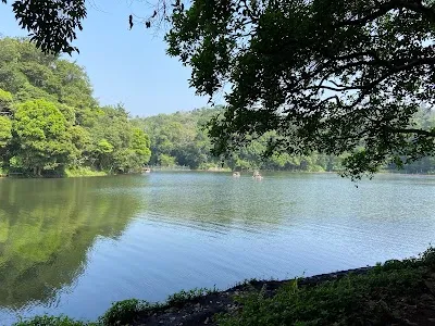 Visit Pookode Lake Boating, Wayanad