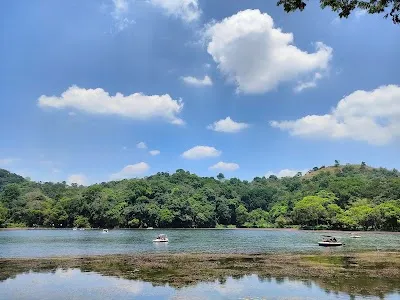 Explore Pookode Lake, Wayanad