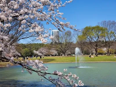 Explore Yoyogi Park, Tokyo