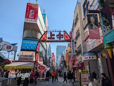 Explore Ameyoko market, Tokyo