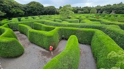 Visit Maze Land, Jeju Island