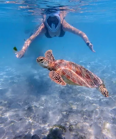 Check out Turtle point, Gili Trawangan