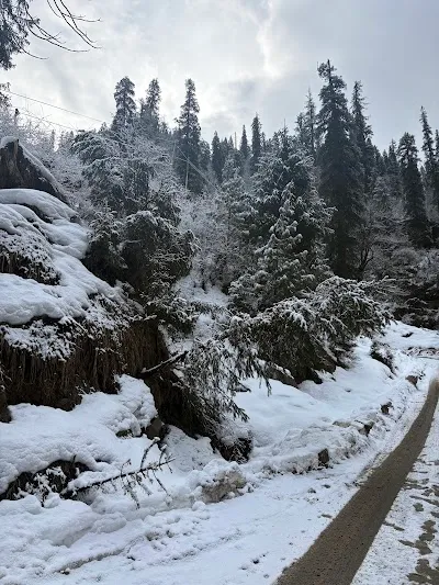 Visit Shoja, Kasol