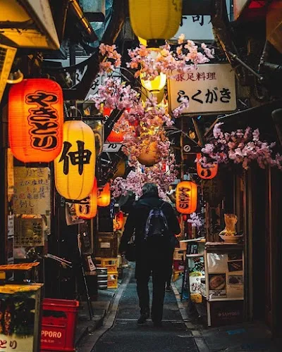 Explore Omoide Yokocho Memory Lane, Tokyo