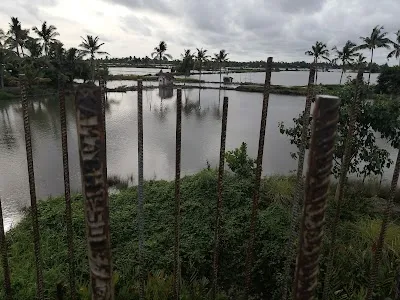 Explore Moolampilly Bridge View, Kadamakkudy