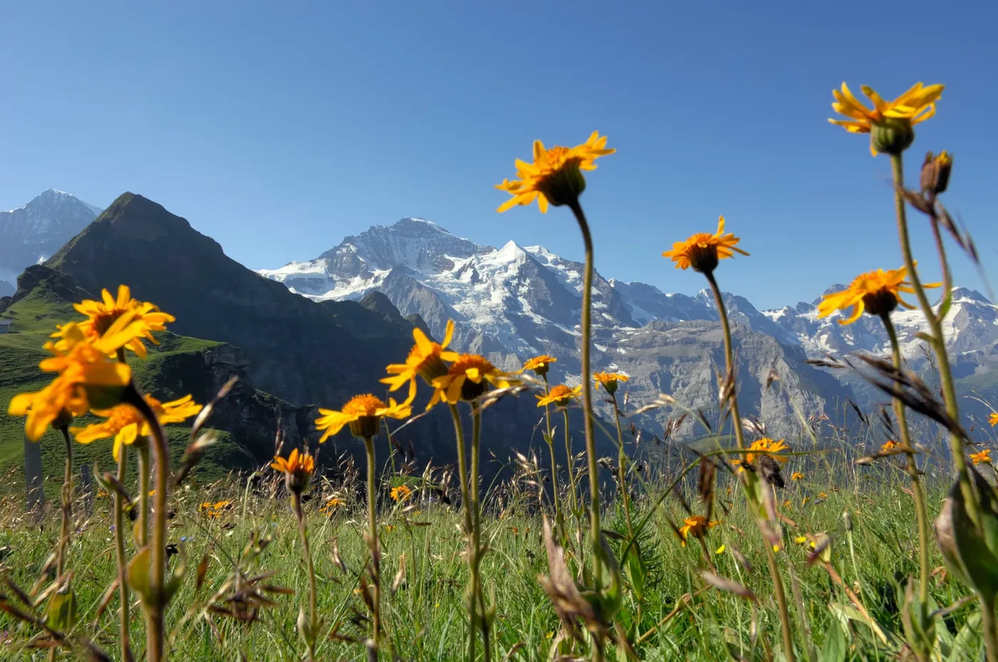 Hotel Victoria-Lauberhorn, Interlaken