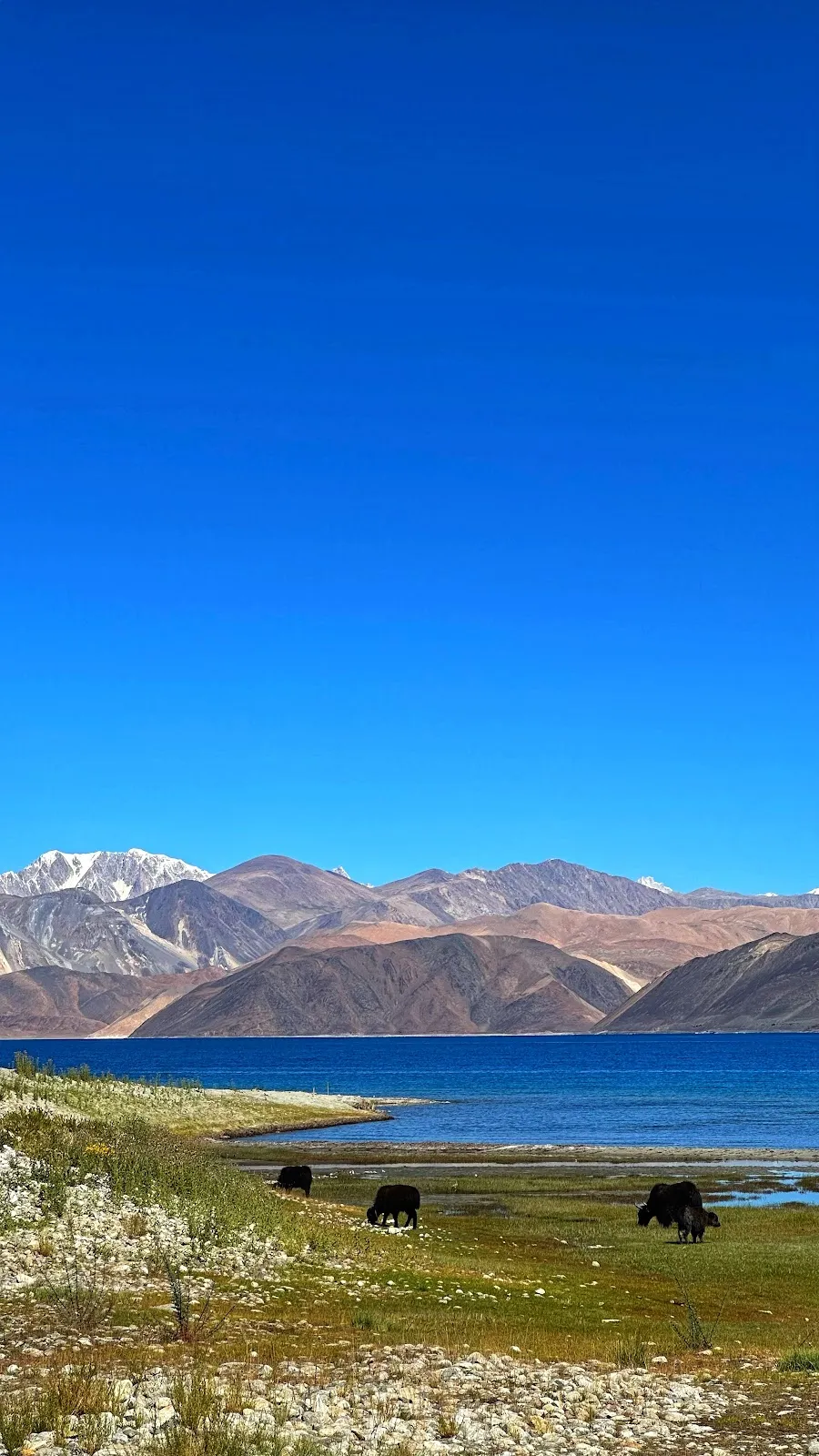 The Pangong Heights Ladakh, Pangong Tso