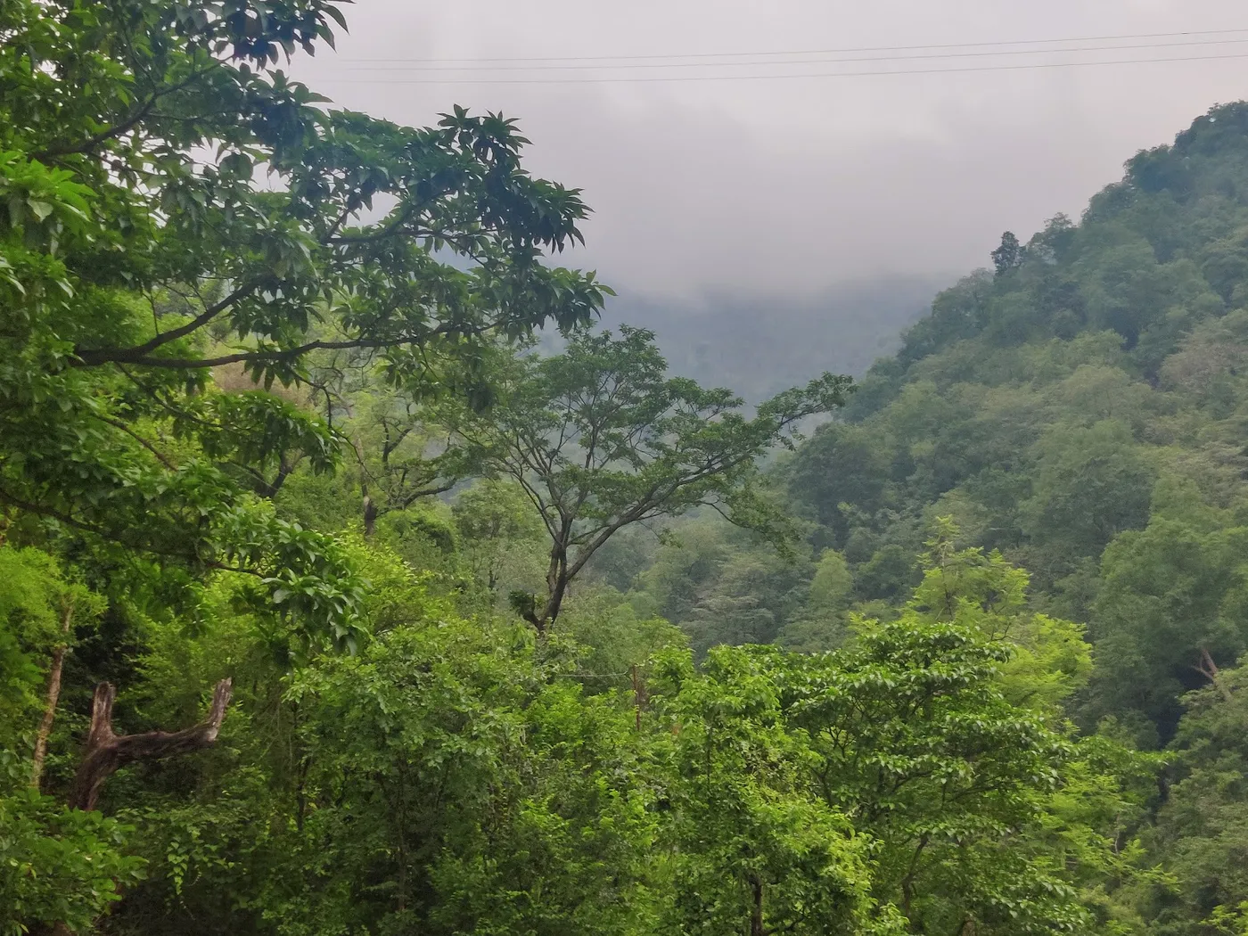 Perfectstayz The Jungle Resort, Rishikesh