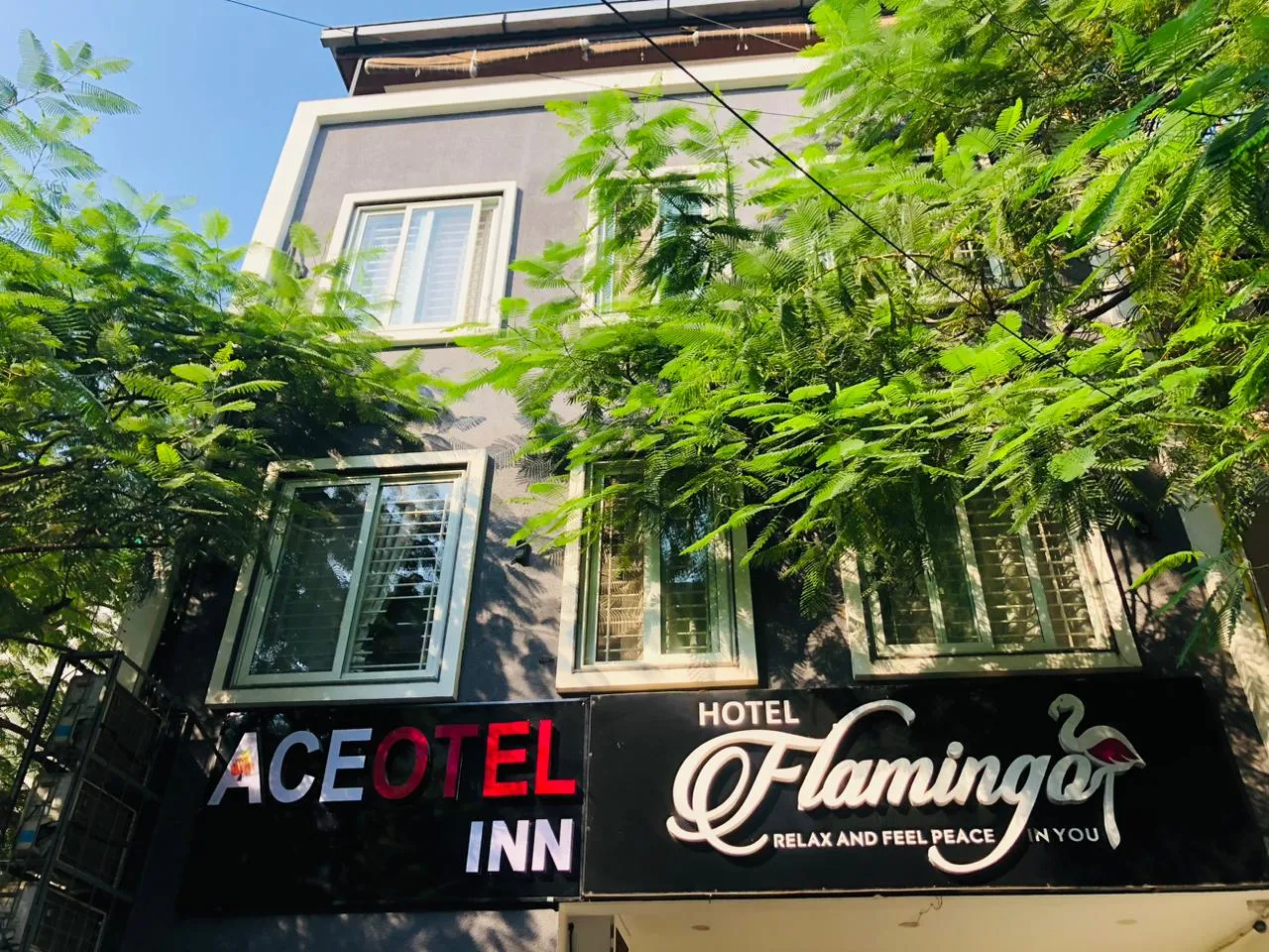 Aceotel Inn Flamingo, Indore