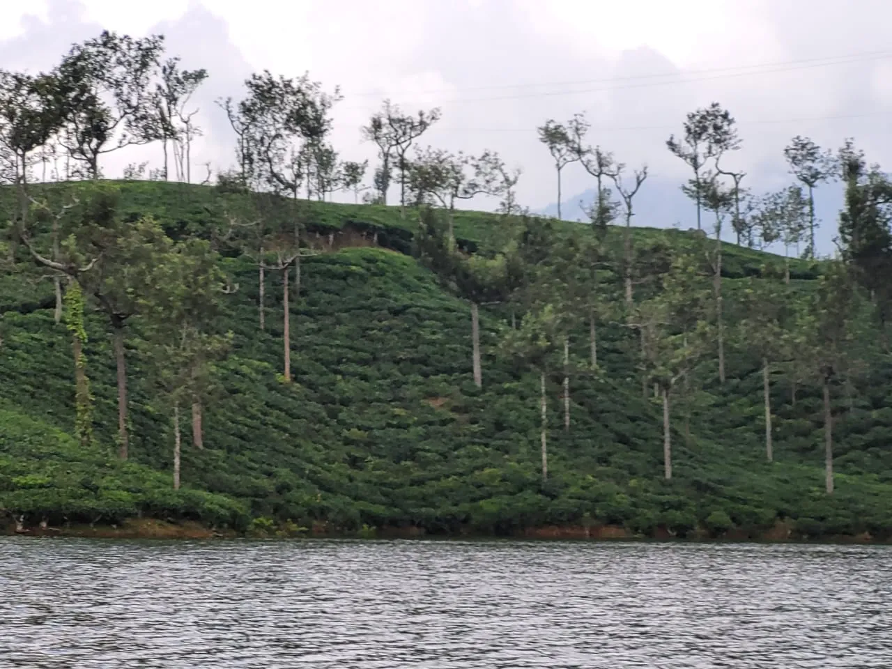 Sunmount View Hotel, Munnar