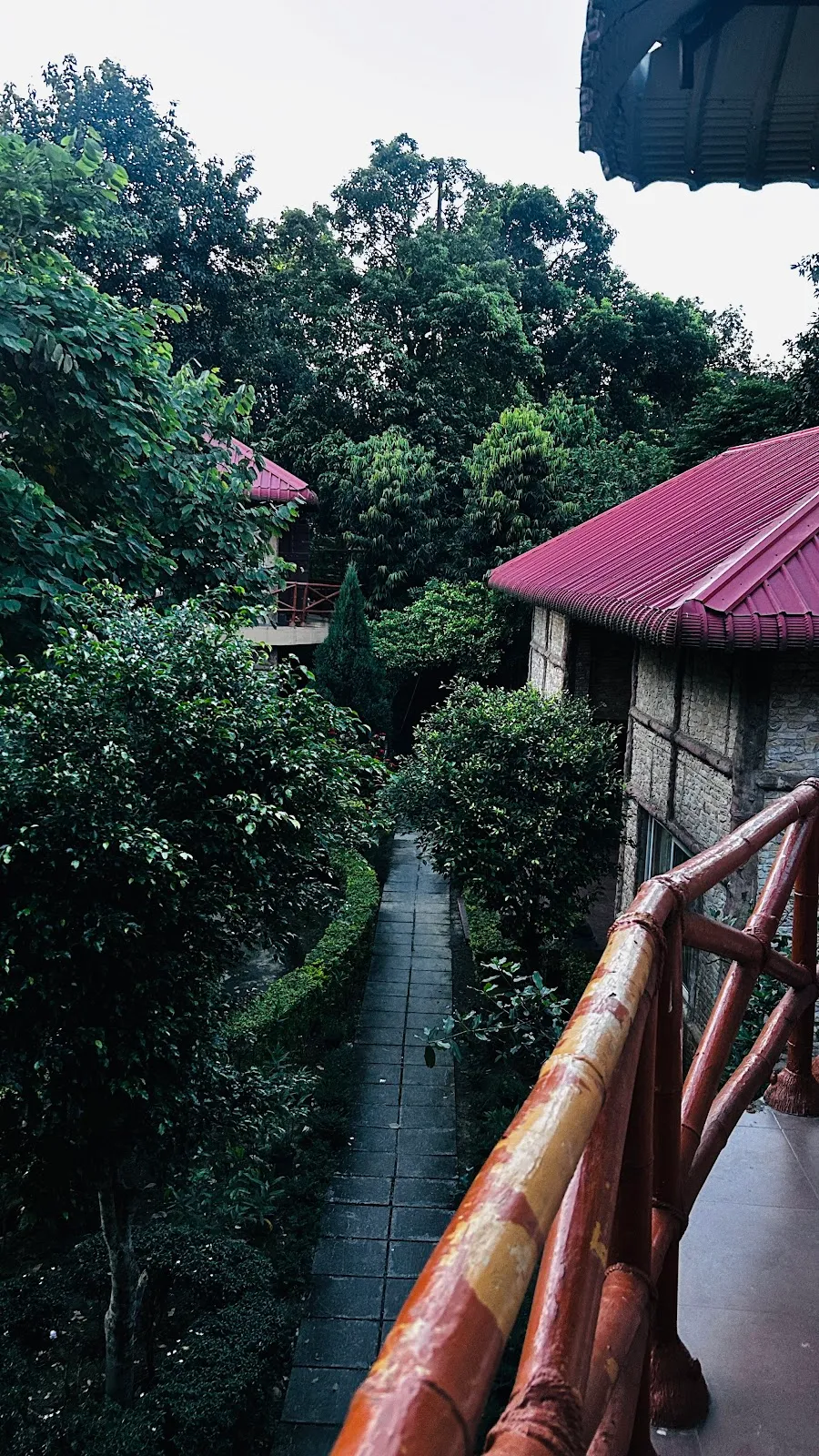 Summit Green Lake Tea Resort, Kaziranga National Park