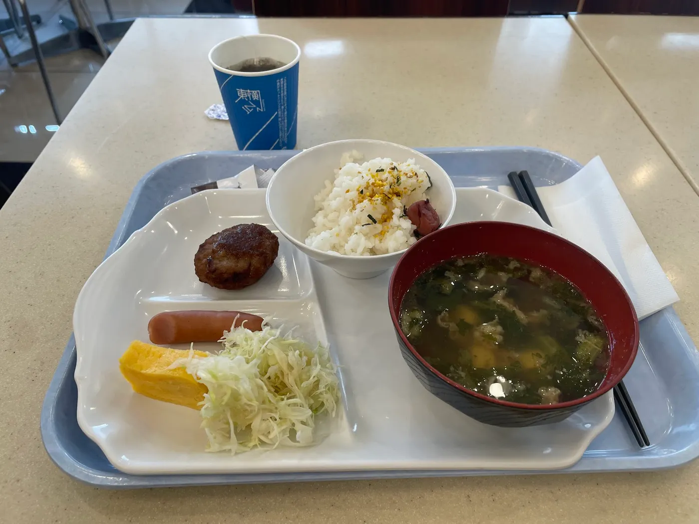 Toyoko Inn Shin Osaka Higashi Mikunieki-mae, Osaka