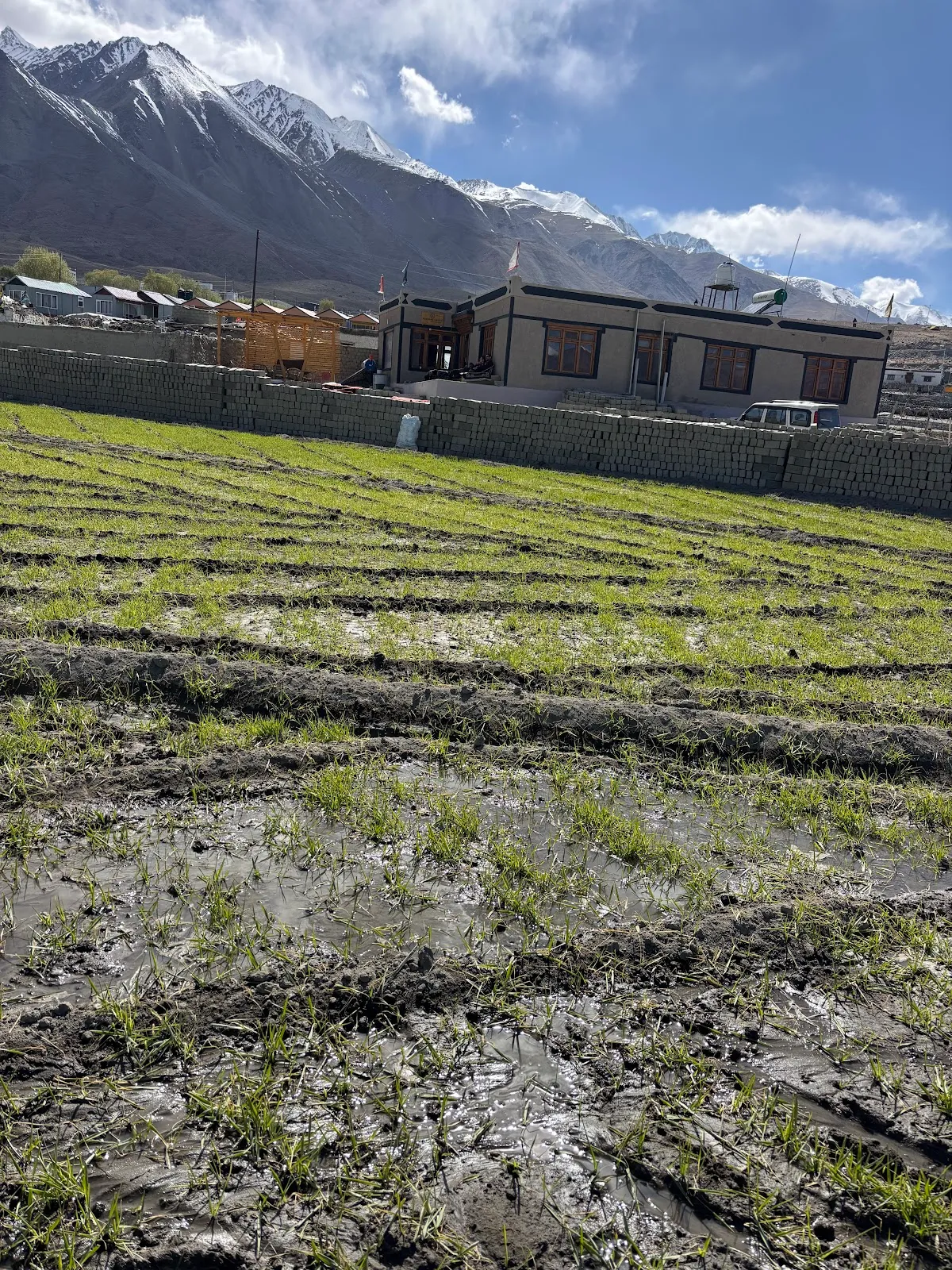 Pangong House- Boutique Home Stay, Pangong Tso