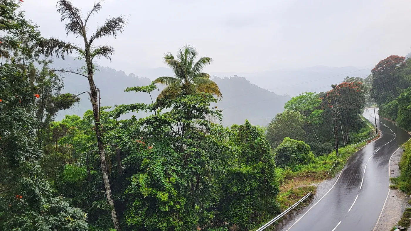 Trivers Resort Munnar, Munnar