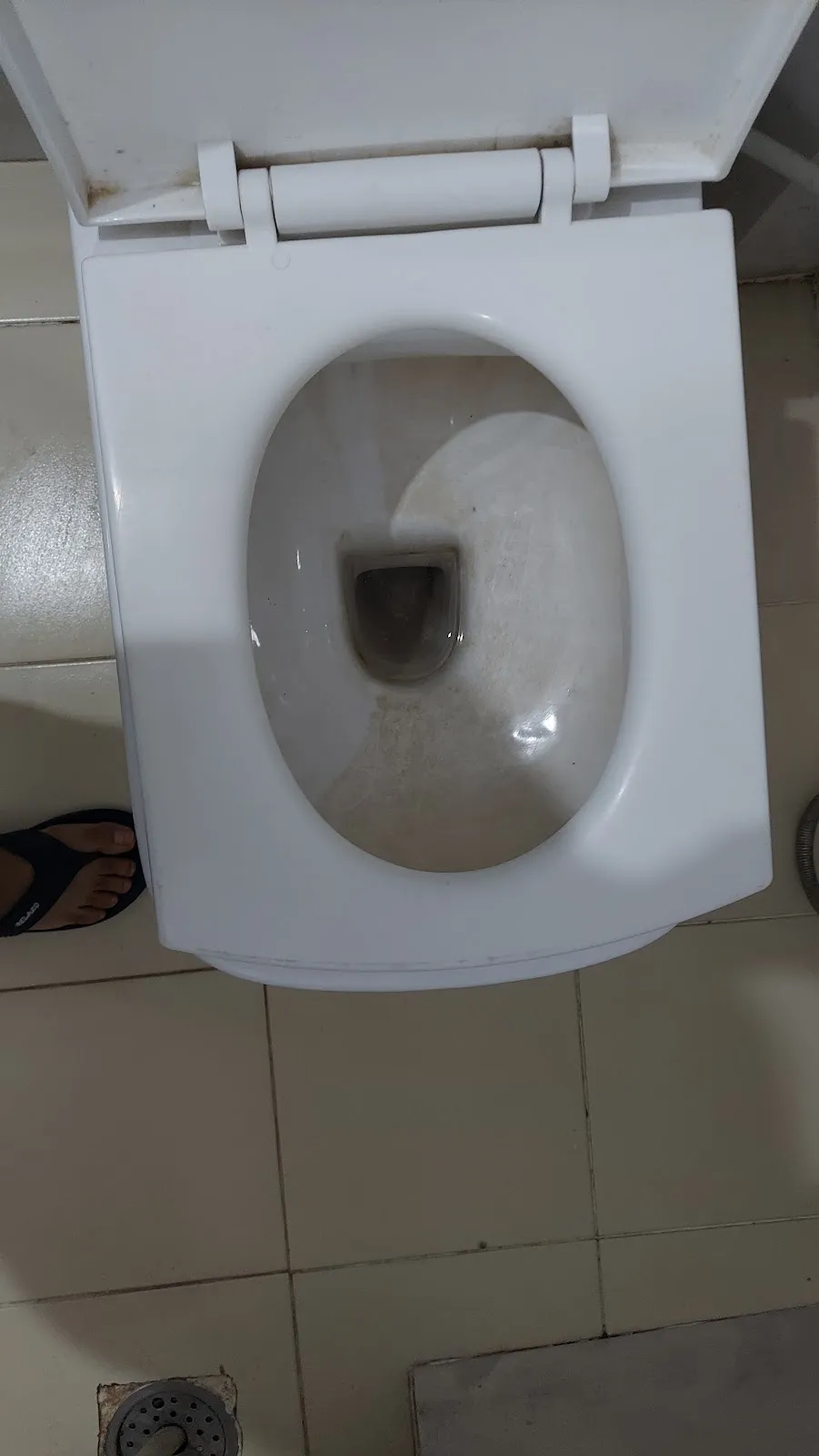 Hotel Pink Shark, Sikar