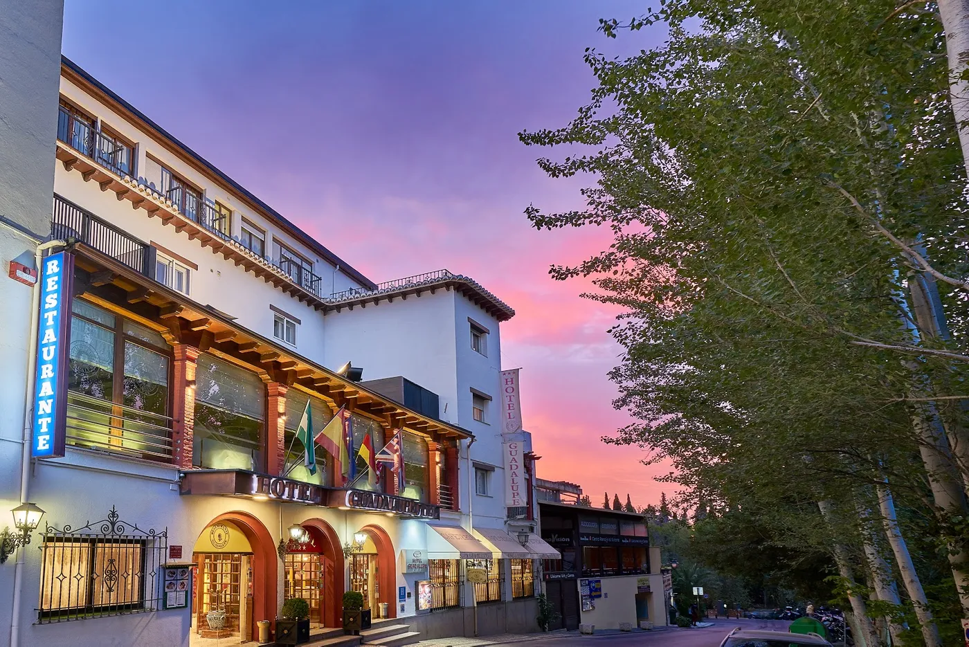 Hotel Guadalupe, Granada