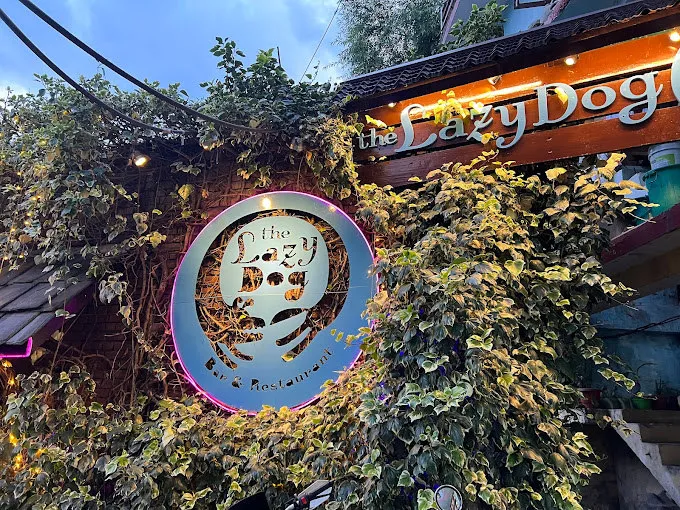 Dine at The Lazy Dog on December 16, 2025