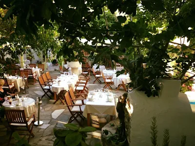 DIONYSOS Garden