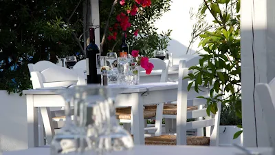 Open Garden