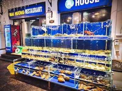 Dine at Mai Hương Restaurant - Grand World Phú Quốc on March 10, 2026
