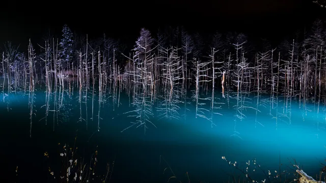 Asahiyama Zoo, Shirahige Falls & Blue Pond