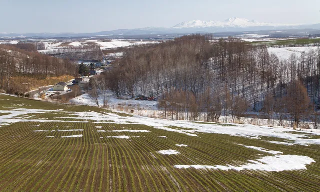 Furano & Biei
