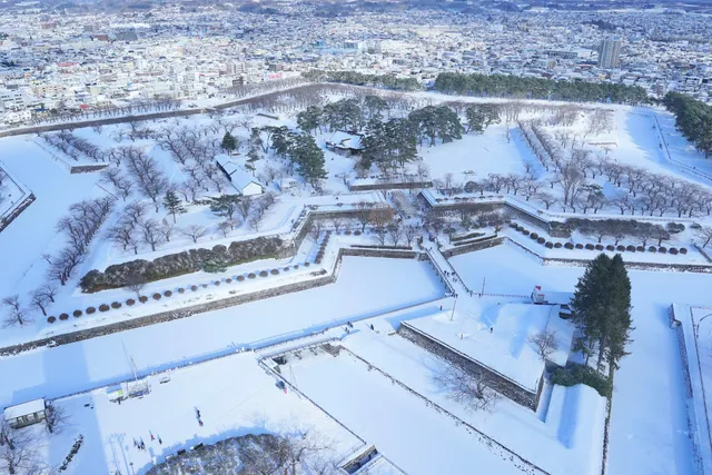 Goryōkaku Tower